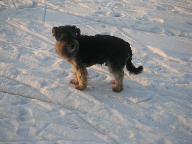 Bild 381.jpg